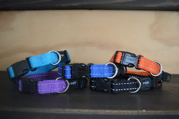 Rogz halsband en leiband set puppy