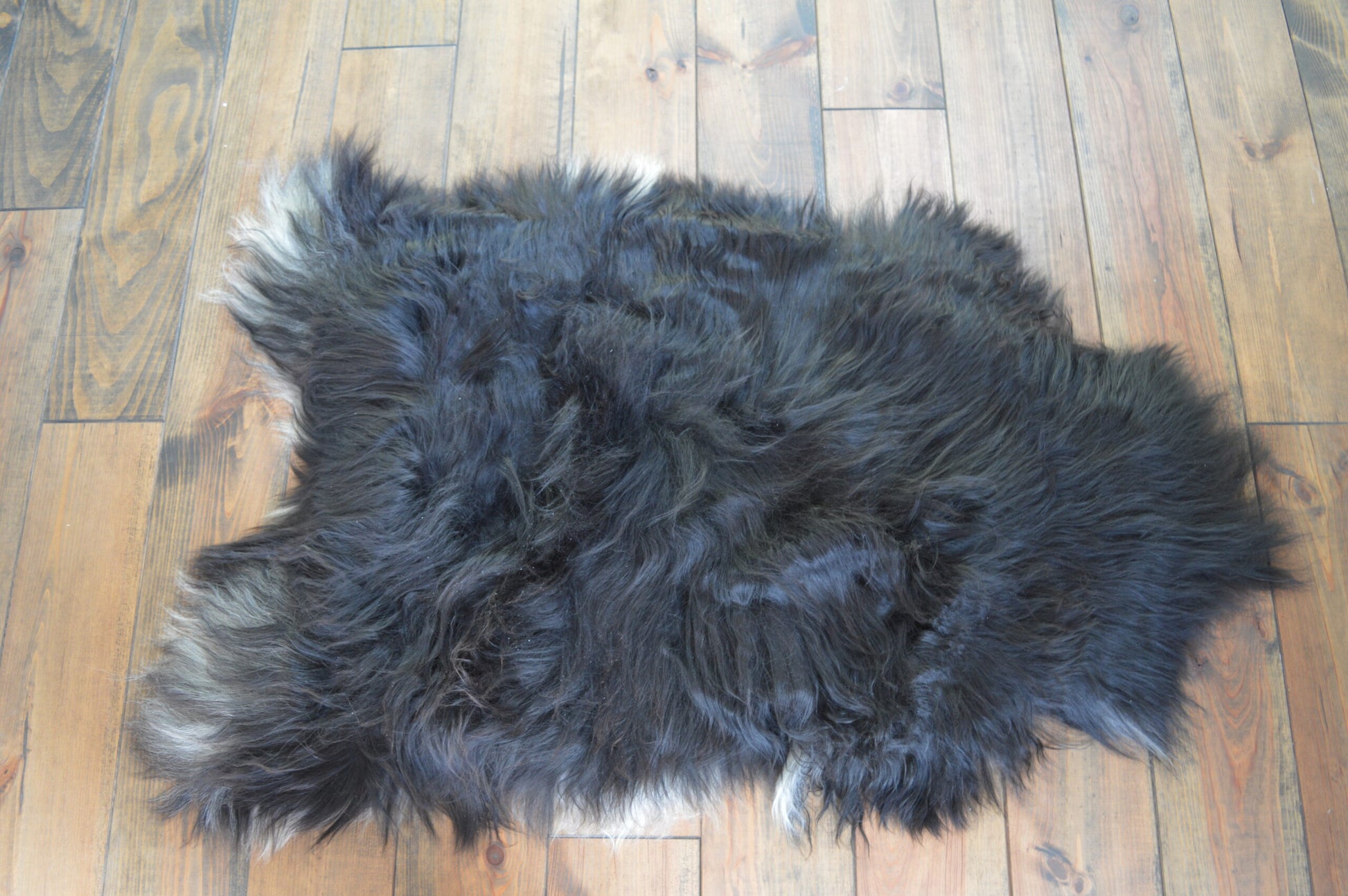 
Zwarte IJslandse schapenvacht voor honden, superzacht en comfortabel, ongeveer 110 x 70 cm, lange wolstructuur, geschikt als hondenbed of decoratief item.
