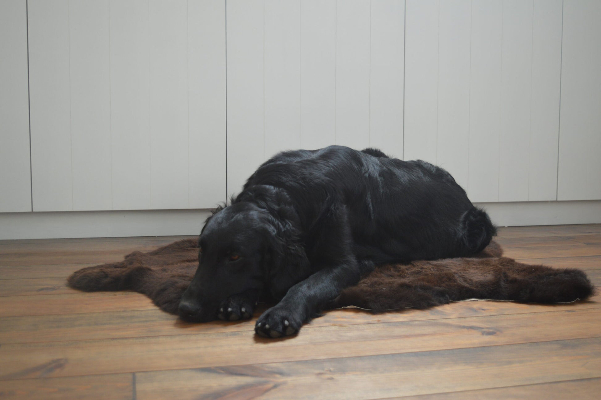bruin schapenvacht voor honden, super zacht en comfortabel, geschikt als hondenbed en interieuraccessoire