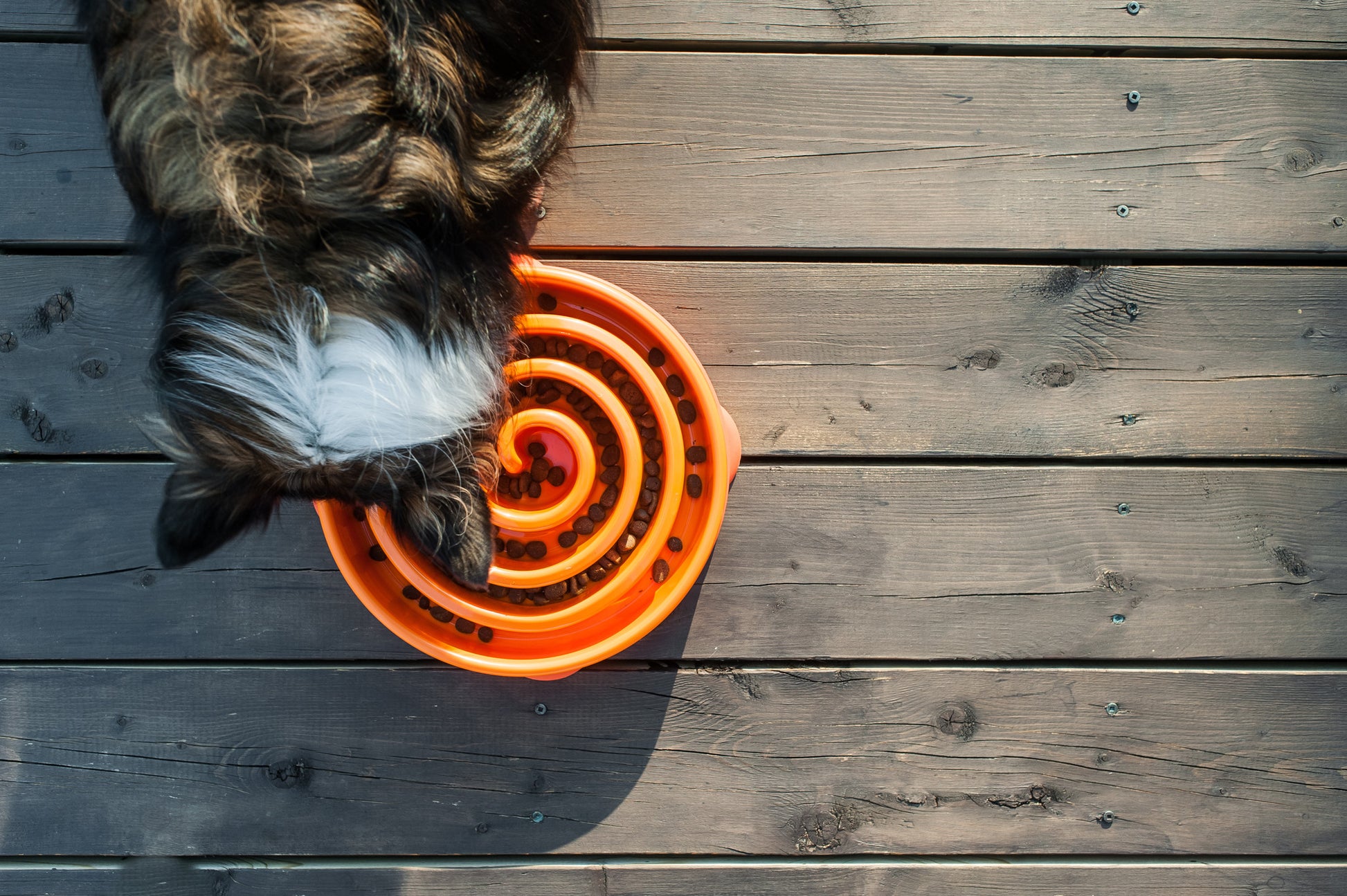 Slow Feeder hondenvoerbak met doolhof, vertraagt eten en stimuleert gezonde spijsvertering