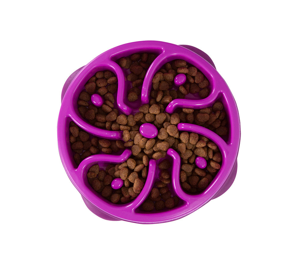 Slow Feeder hondenvoerbak met doolhof, vertraagt eten en stimuleert gezonde spijsvertering