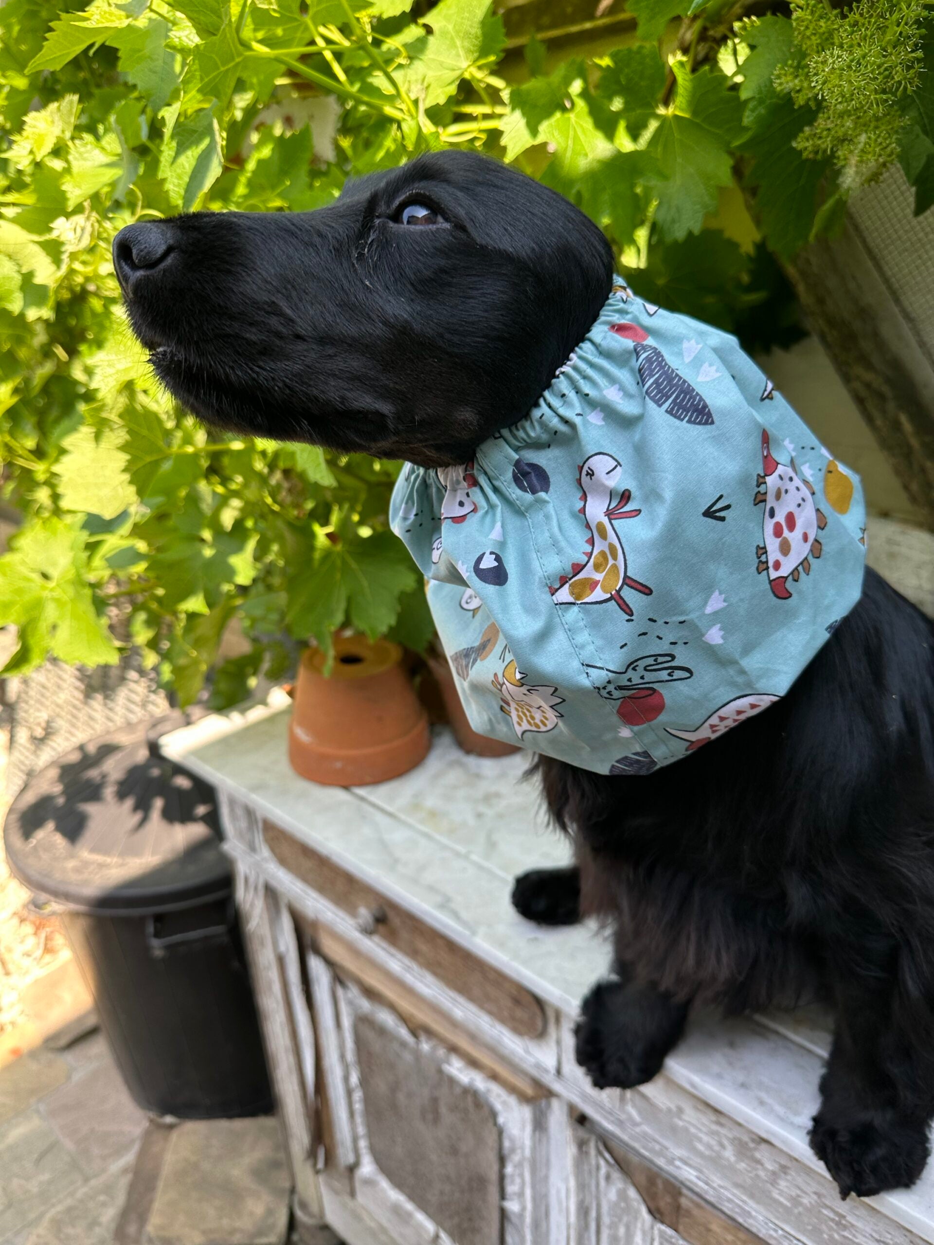 handgemaakte honden snood van katoen, beschermt oren en vacht van lange-oren rassen tegen vuil, nat en klitten, comfortabel en duurzaam, machinewasbaar, Dog - Expert webshop voor gespecialiseerd hondenmateriaal